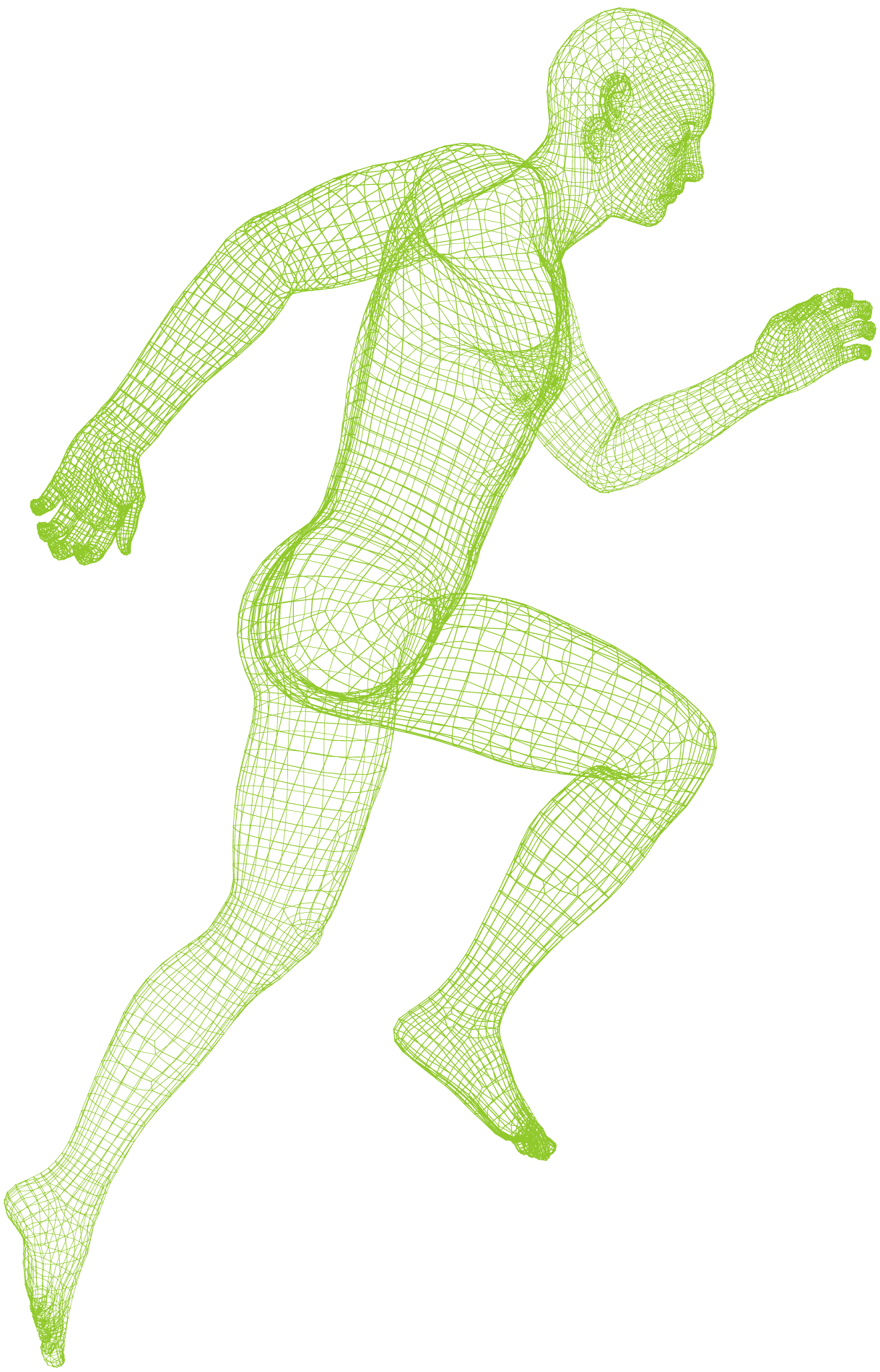 Biodesign-wireframe-body